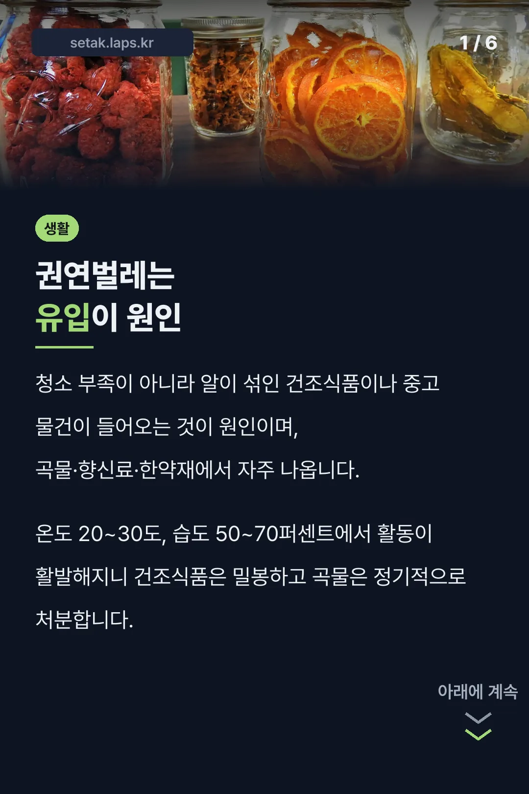 권연벌레는 유입이 원인