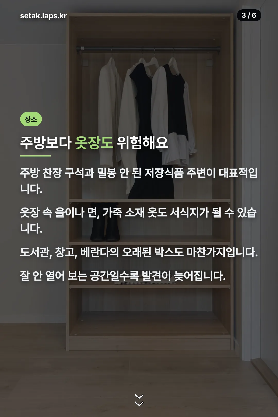 권연벌레가 잘 생기는 장소
