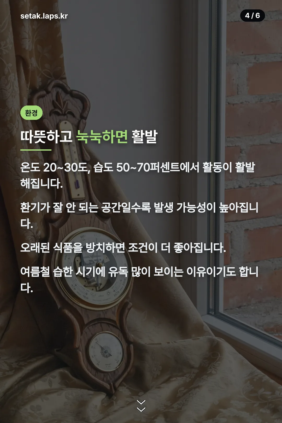발생을 부르는 환경 조건