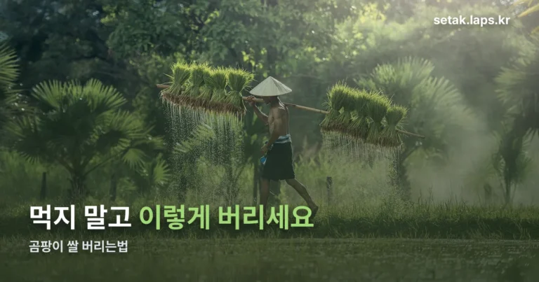 곰팡이 쌀 버리는법 정리 썸네일