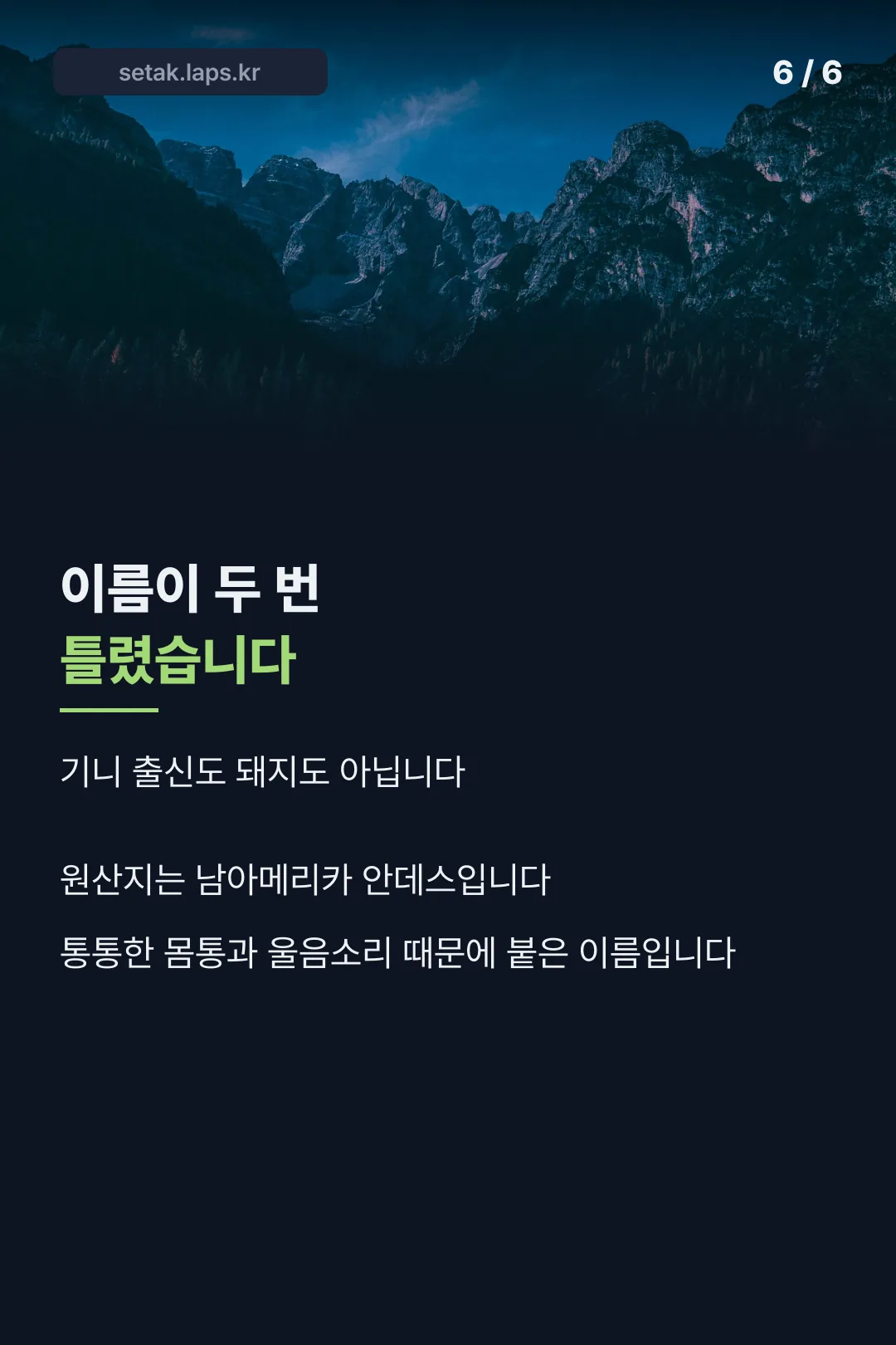 이름이 두 번 틀렸습니다