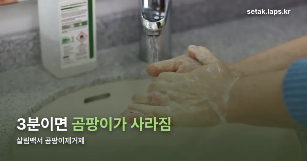 살림백서 곰팡이제거제 — 사용법과 구매처 확인
