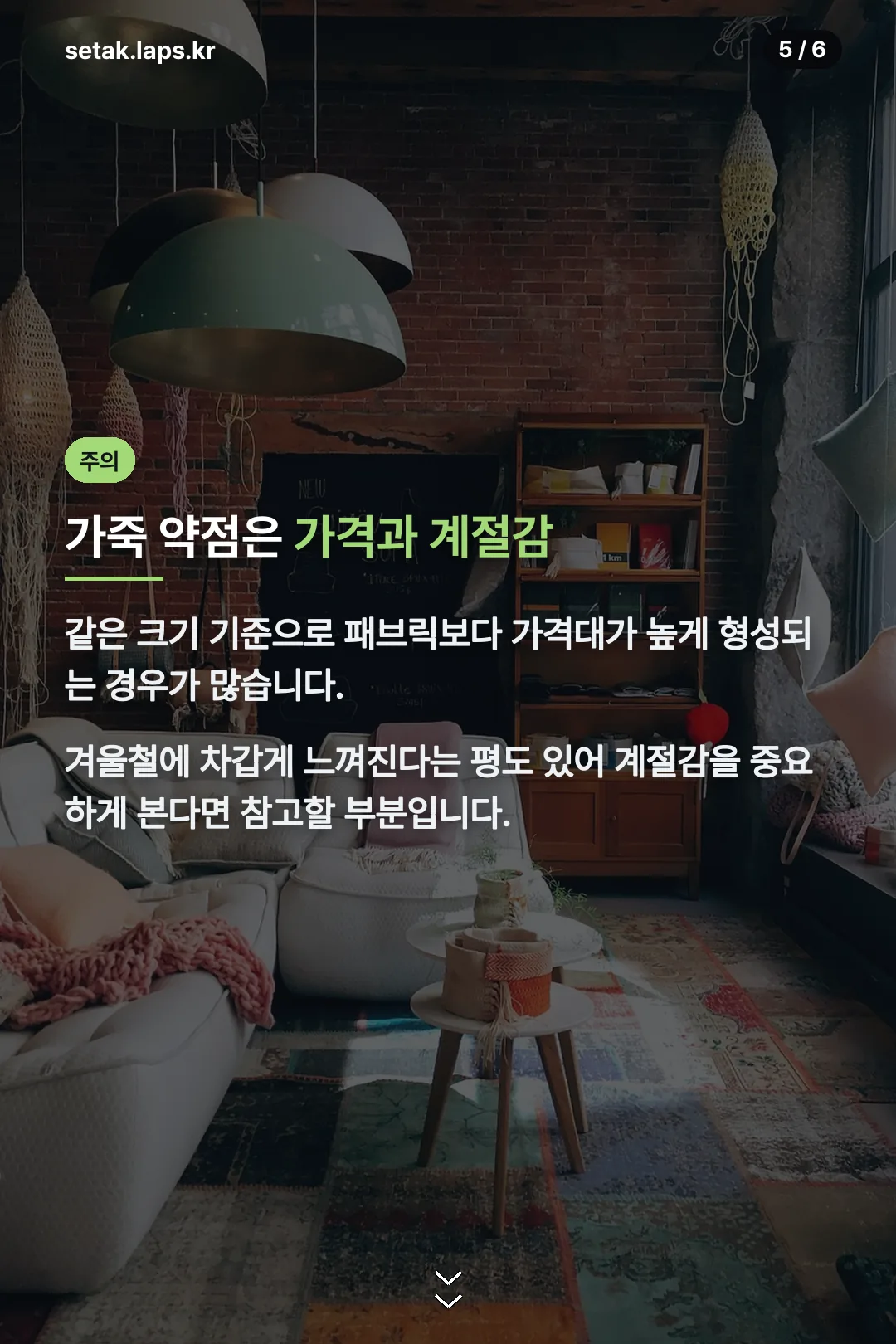 가죽 약점 가격과 계절감