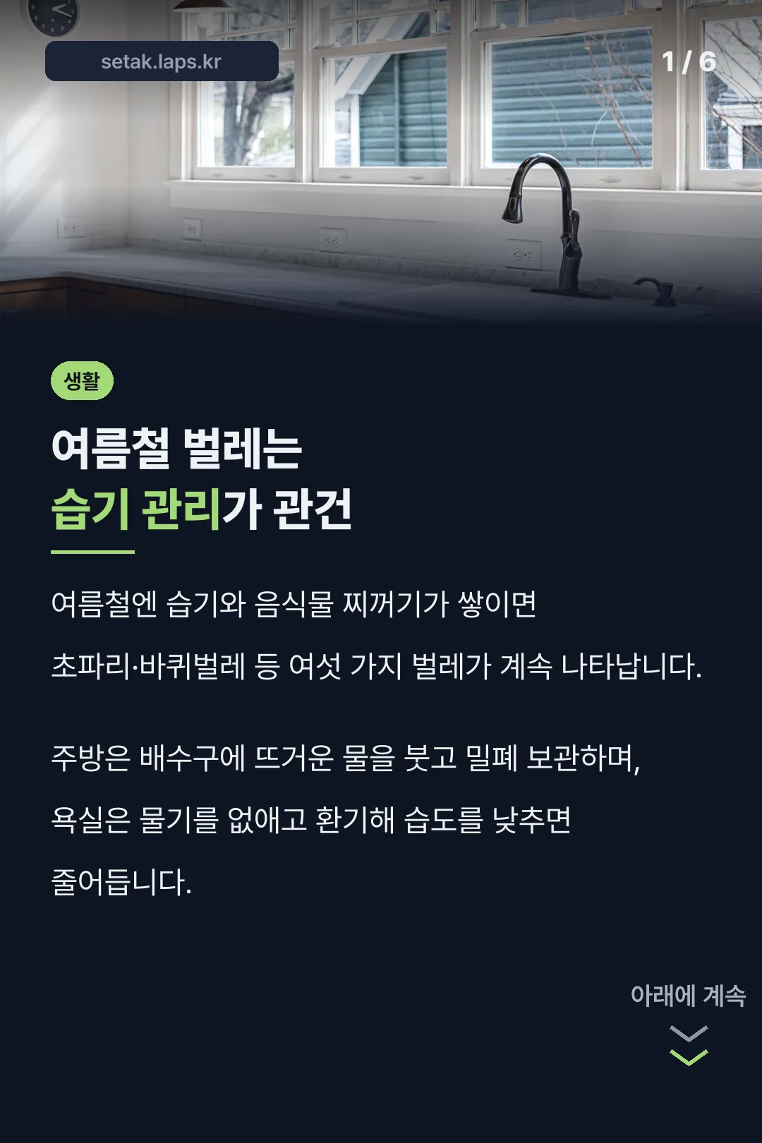 여름철 벌레는 습기 관리가 관건