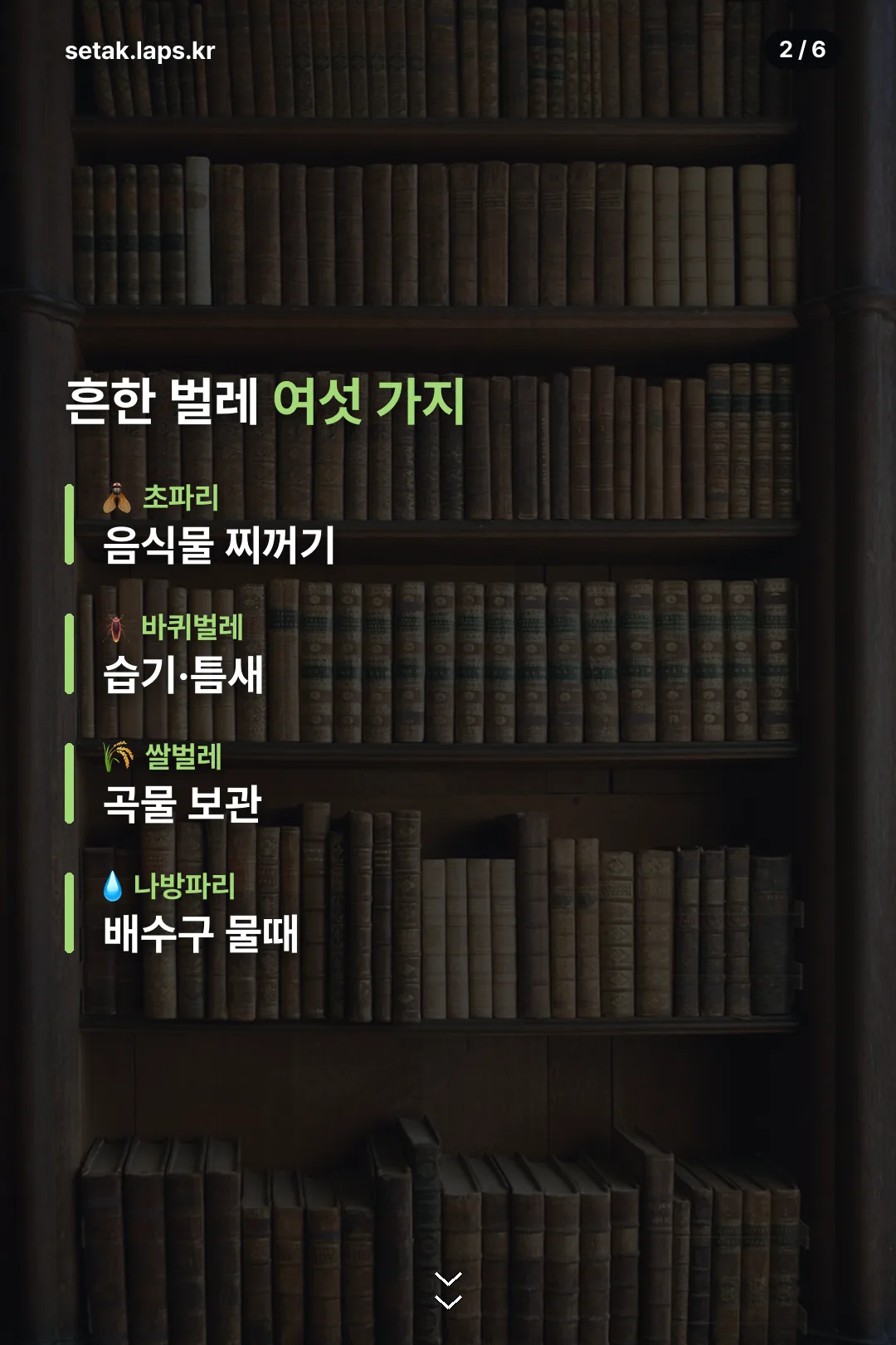 흔한 벌레 여섯 가지