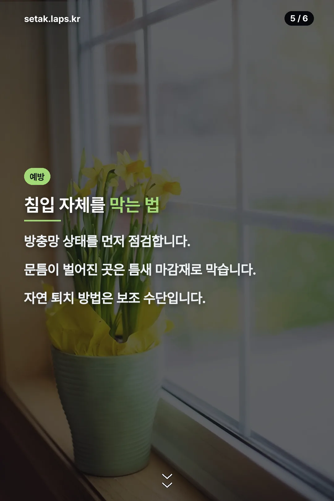 침입 막는 예방법
