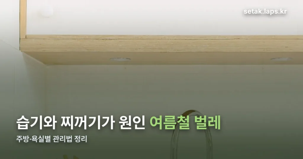 여름철 벌레 원인과 관리법 — 주방·욕실별로 정리
