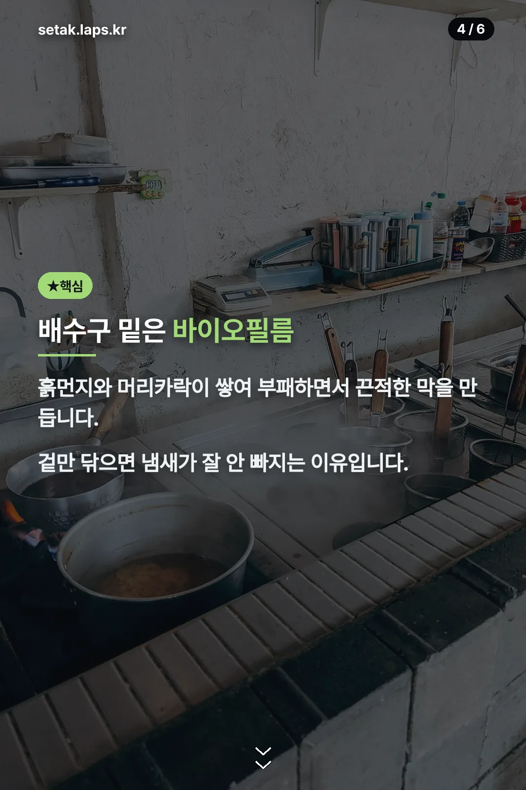 배수구 바이오필름