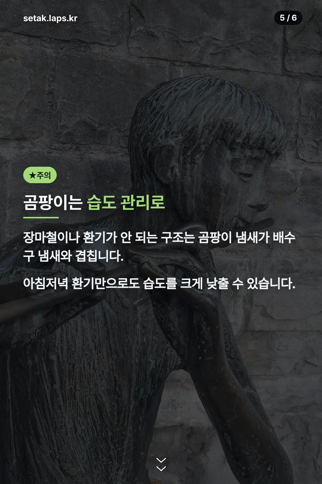 곰팡이 습도 관리