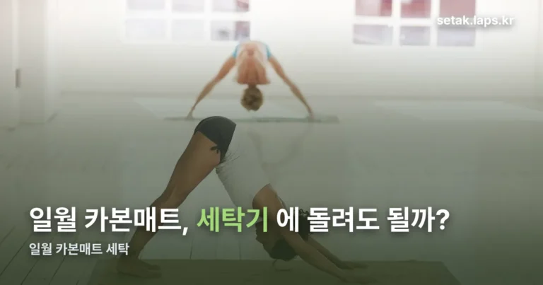 일월 카본매트 세탁 정리 썸네일