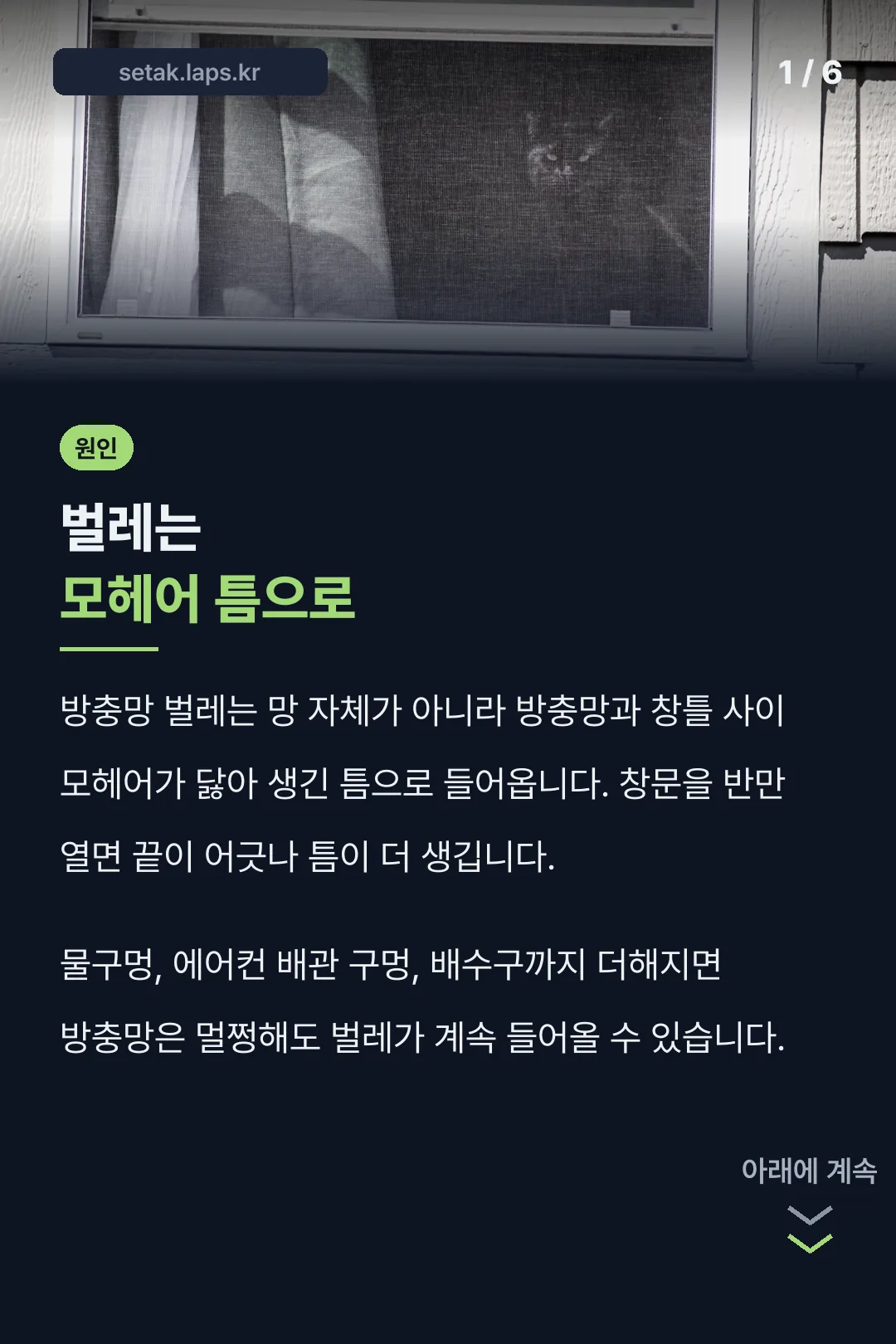 방충망 벌레 원인 표지