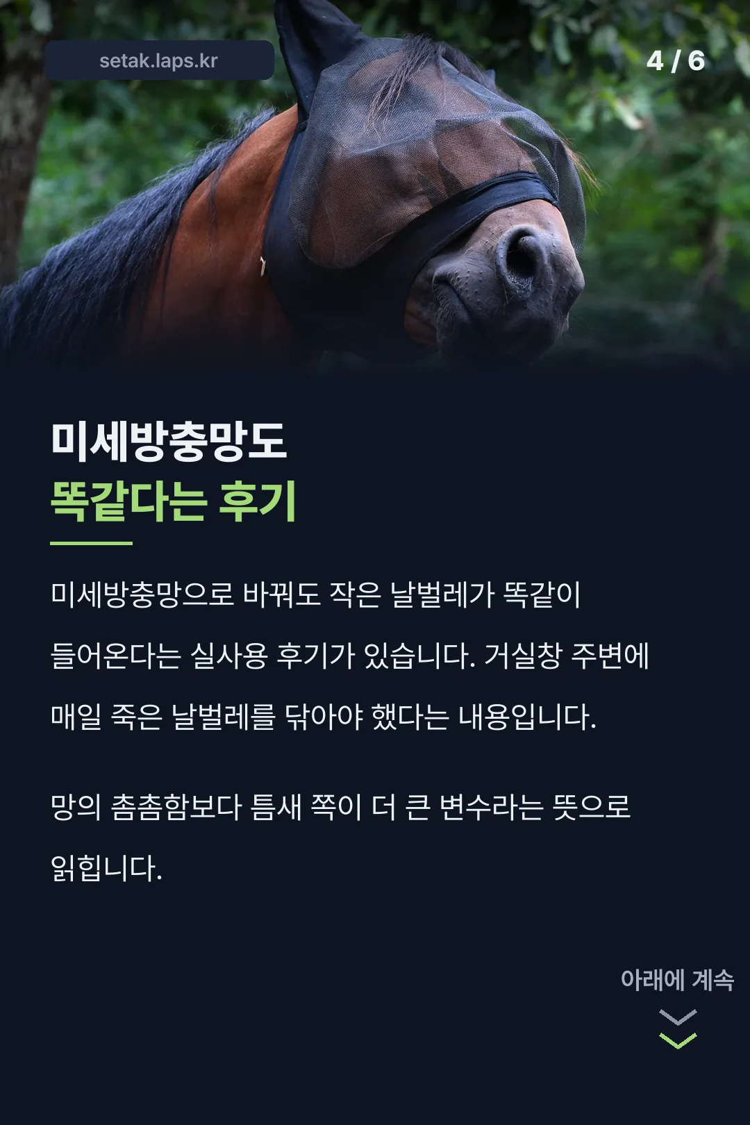미세방충망 실사용 후기
