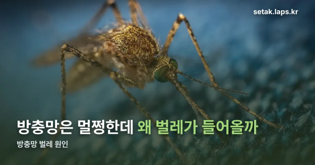 방충망 벌레, 망이 아니라 이 틈을 보세요